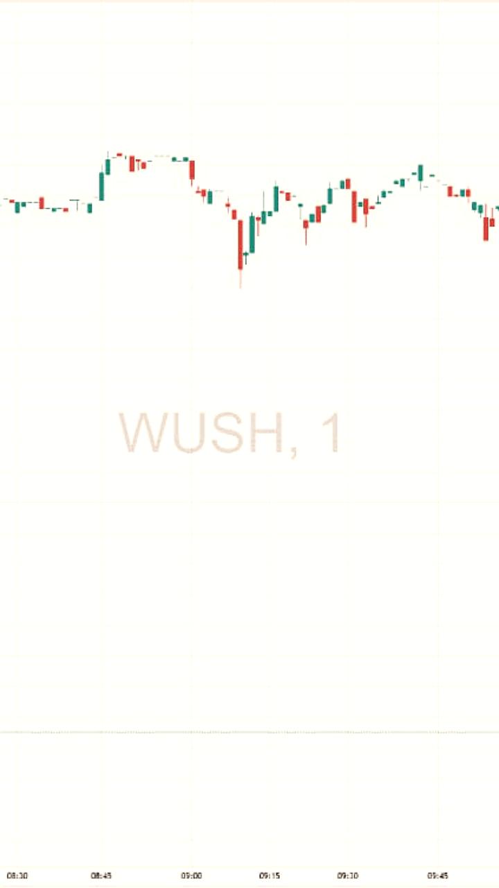 Финансовая отчетность Whoosh: снижение акций и рост международного бизнеса