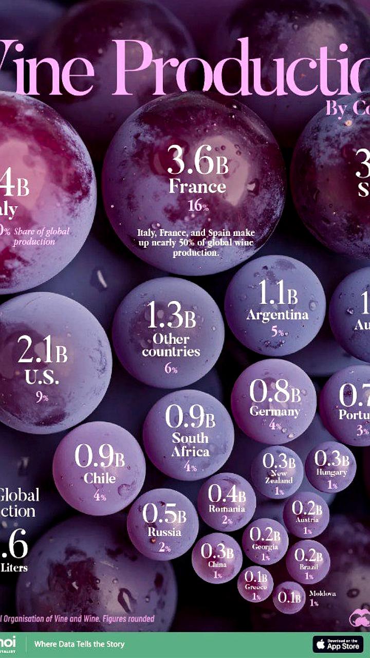 Италия сохраняет лидерство в мировом производстве вина в 2024 году