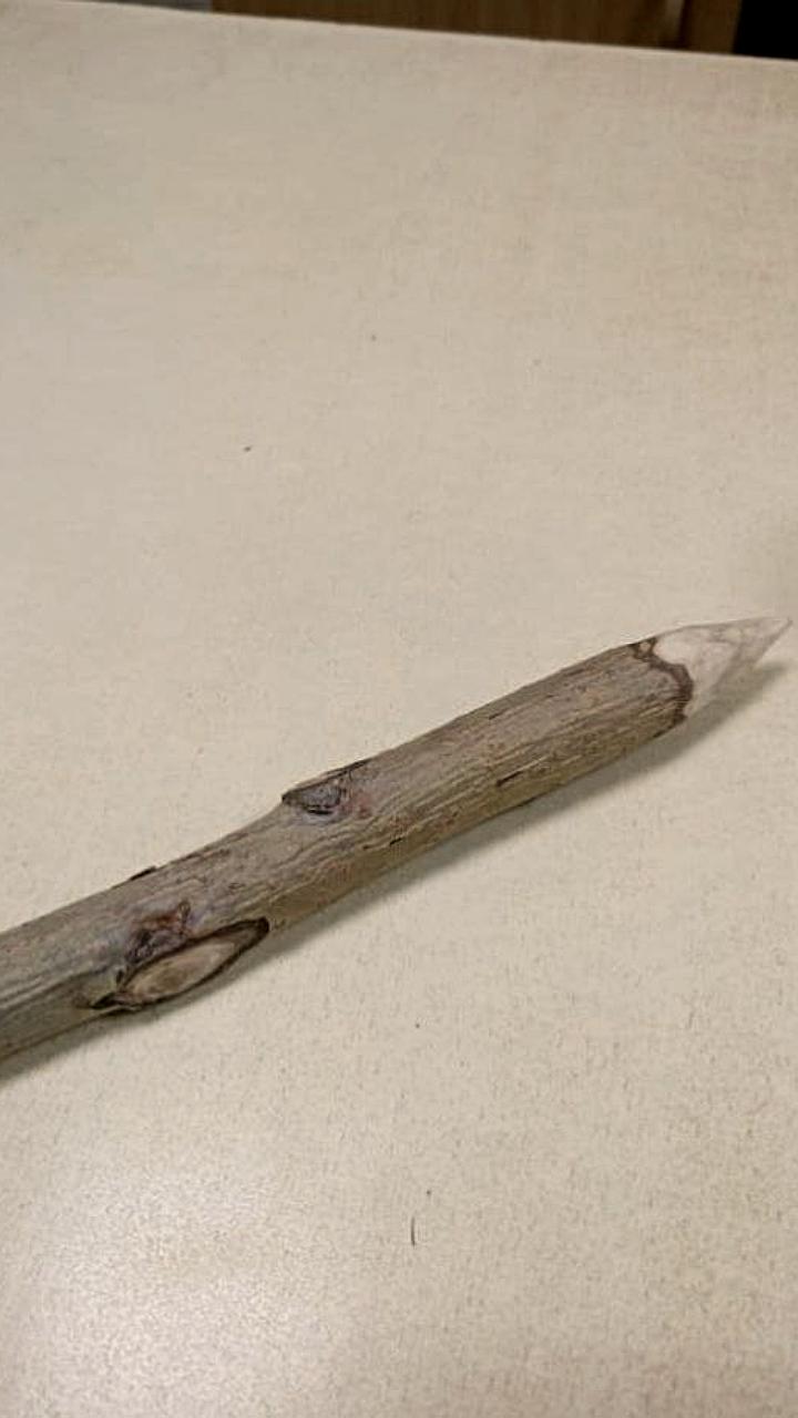 Омичка принесла осиновый кол в суд, но его изъяли судебные приставы