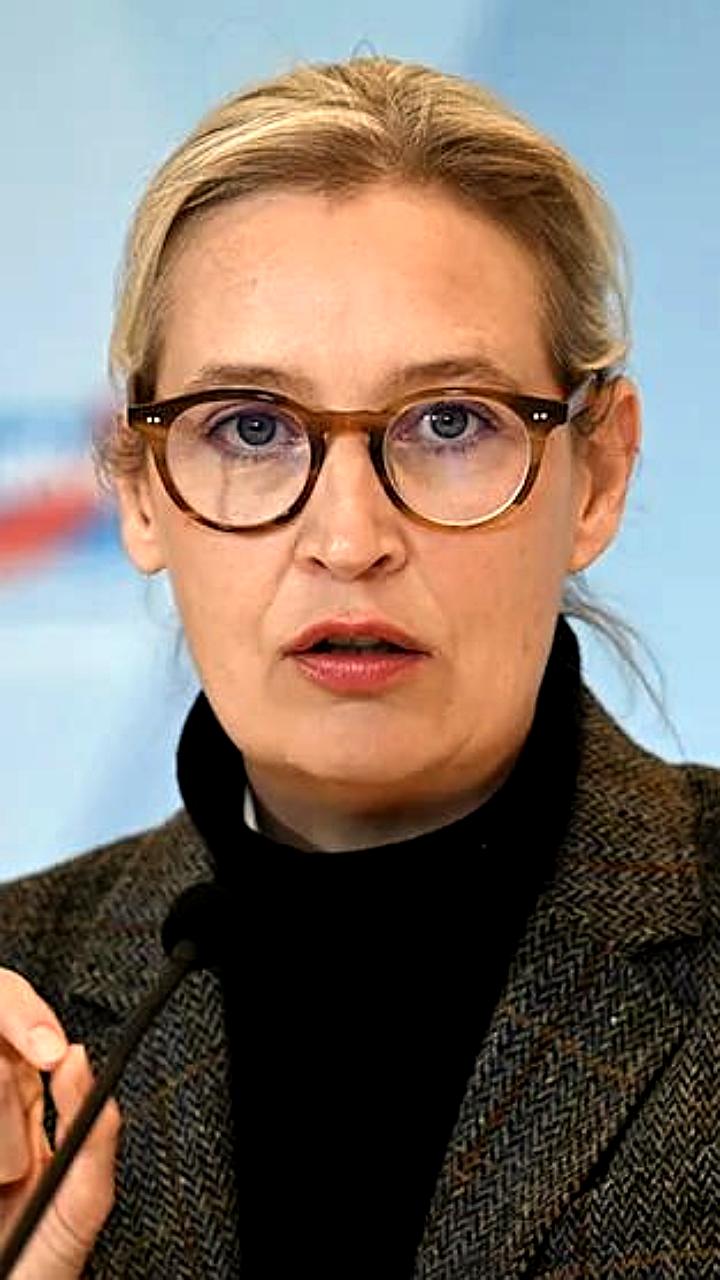 Негативное отношение к Альтернативе для Германии достигло рекордного минимума