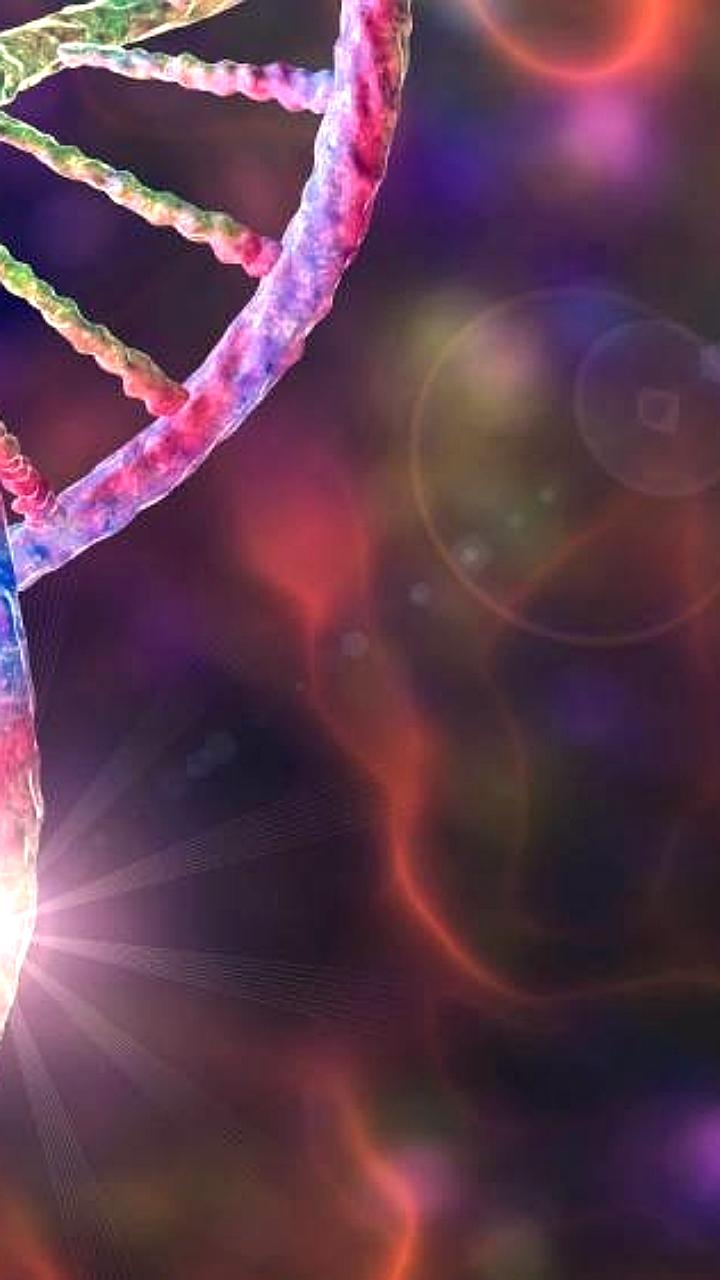 Ученые из Техаса разработали технологию для омоложения клеток с помощью митохондрий