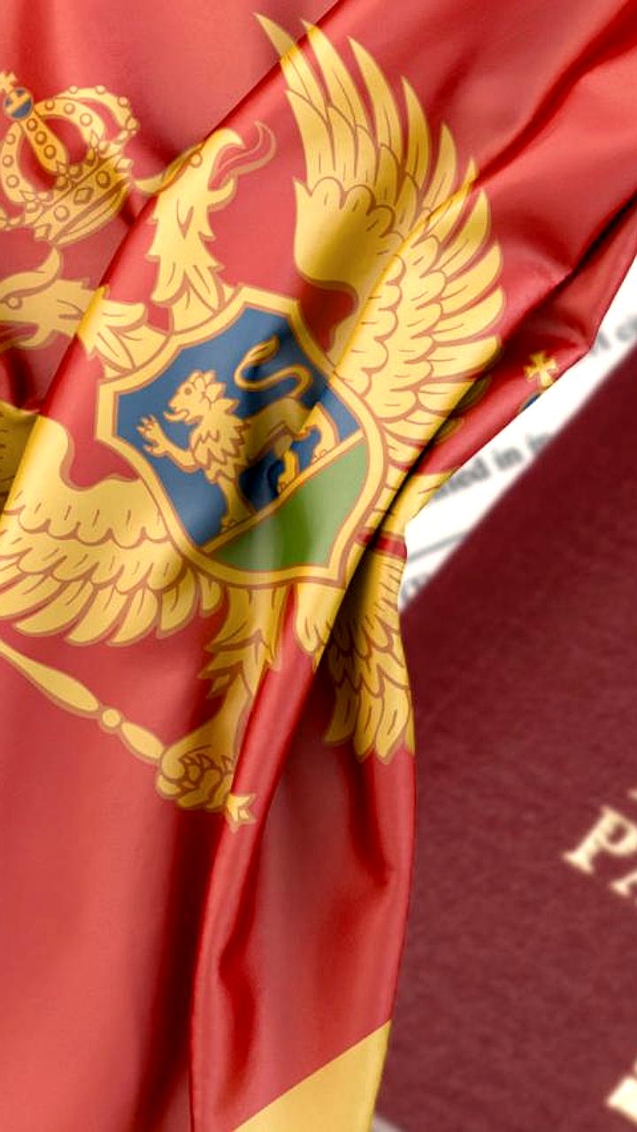 Черногория введет визовый режим для россиян к сентябрю 2026 года