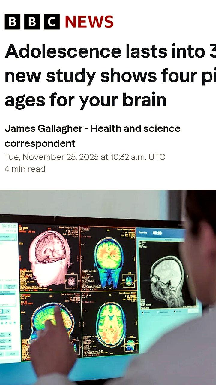 Ученые Кембриджа описали пять ключевых фаз развития человеческого мозга