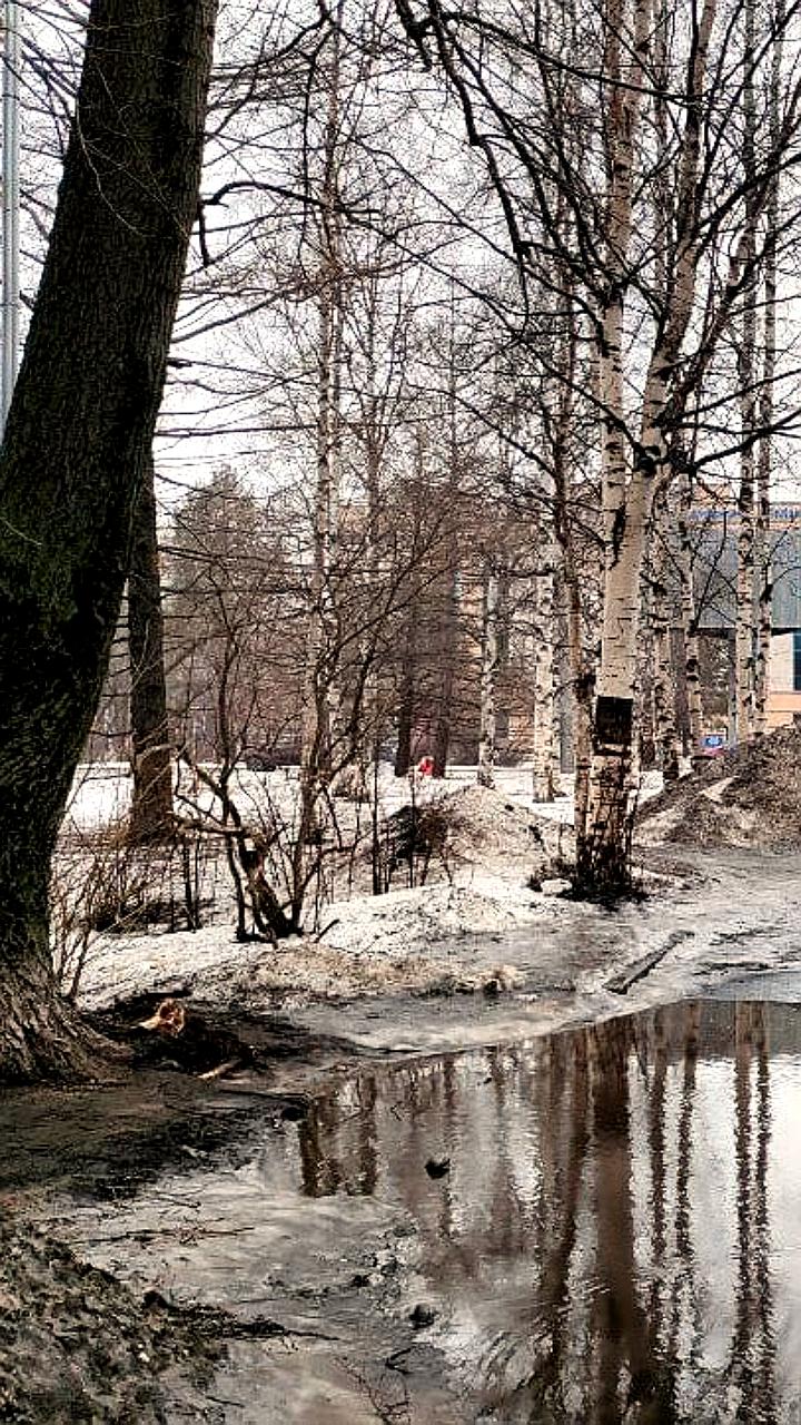 Набережные Челны в топ-10 городов России по качеству жизни, Архангельск требует улучшений