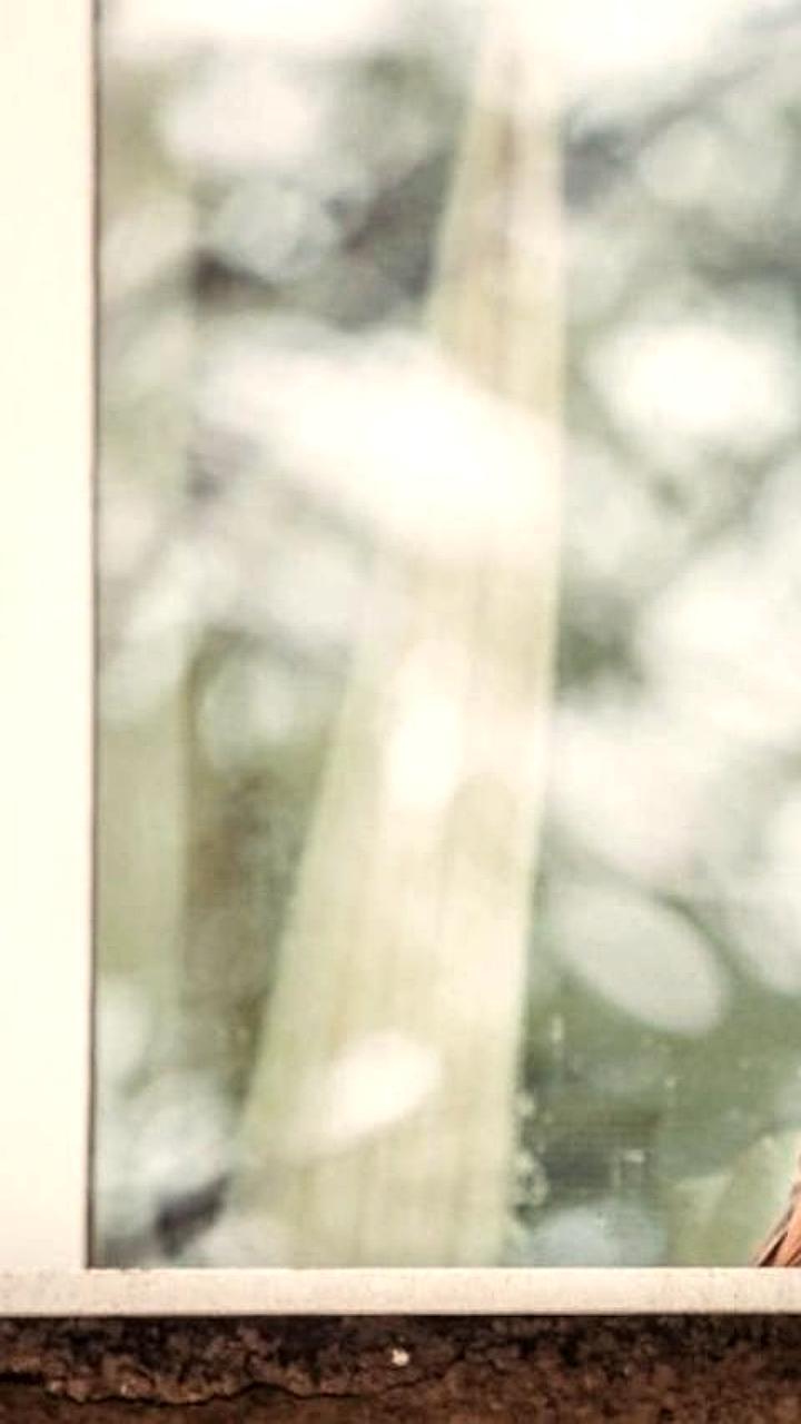 Приморье ожидает резкое похолодание до -30°C в начале декабря