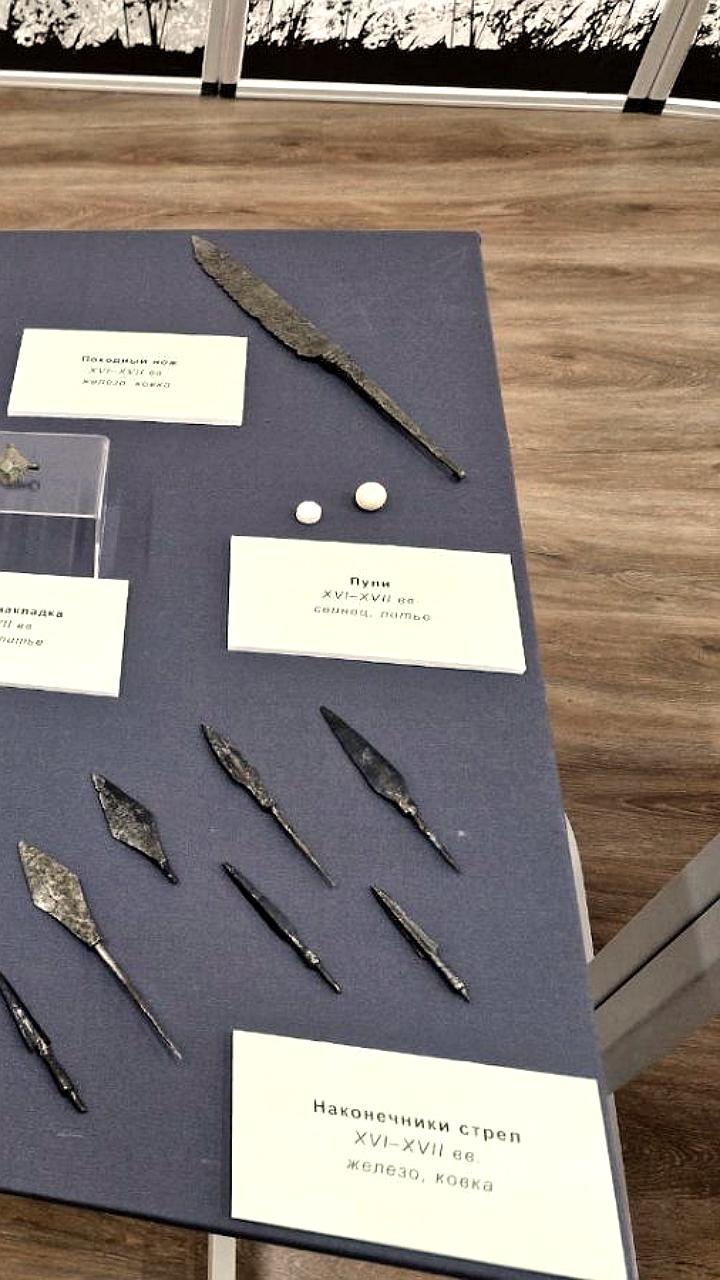 Археологи обнаружили хорошо сохранившееся городище Перемышль в Калужской области