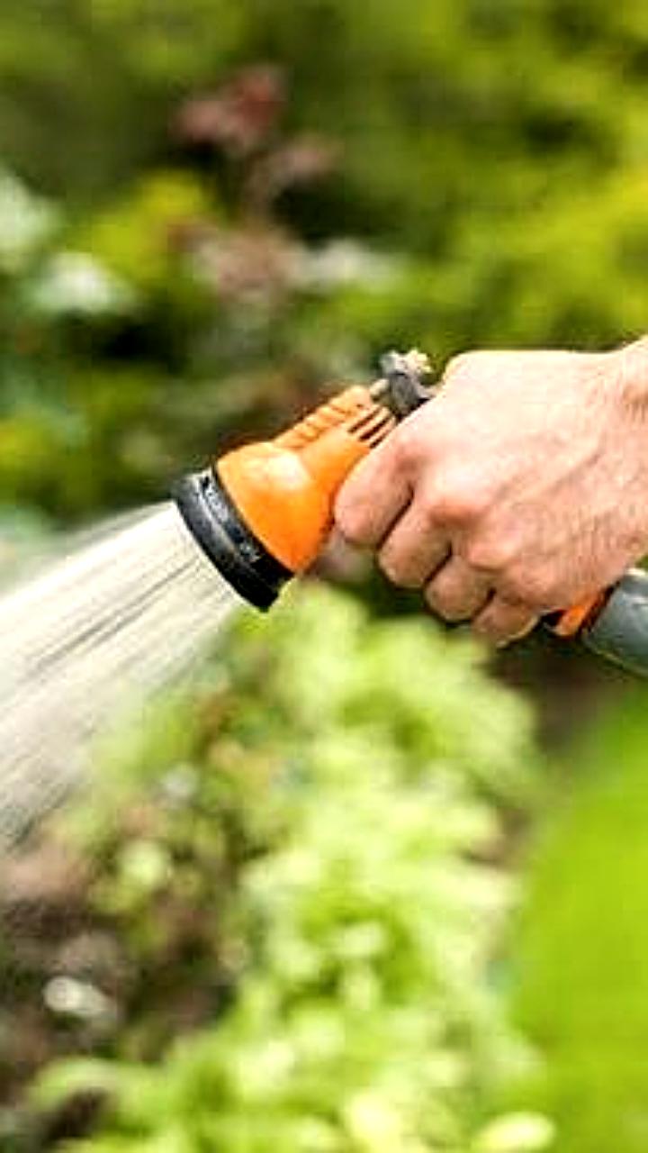 Ташкент отменяет ограничения на полив питьевой водой для жителей