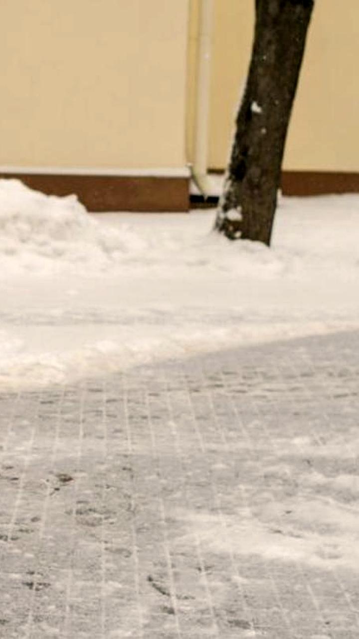 Спрос на дворников в Приморье и Якутии значительно возрос в 2025 году