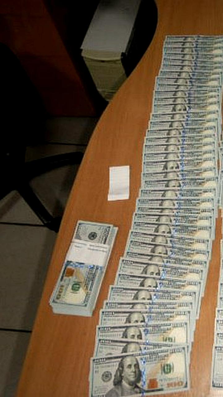 Служебная собака Кодилак предотвратила незаконный вывоз 20 тысяч долларов из России