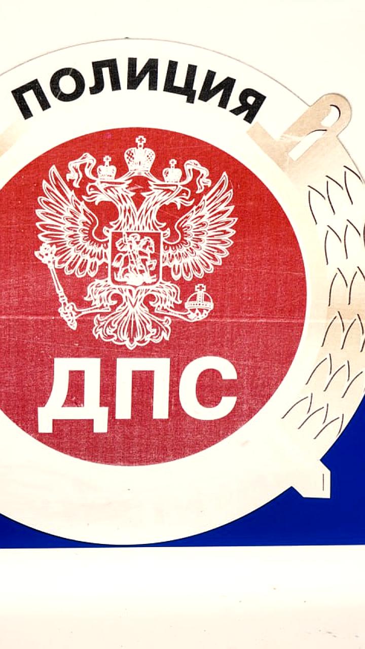 Два ДТП в Бурятии из-за столкновения с коровами: пострадали пассажиры