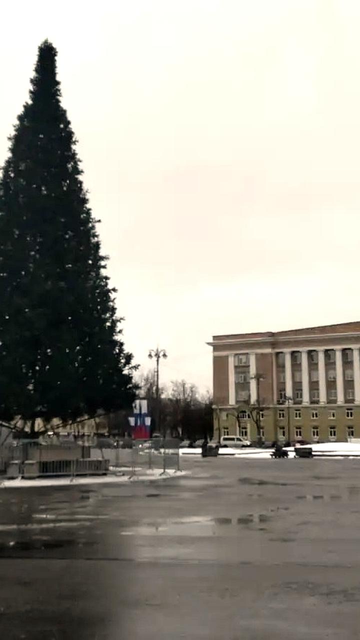 Кострома и Протвино готовятся к Новому году с помощью местного бизнеса