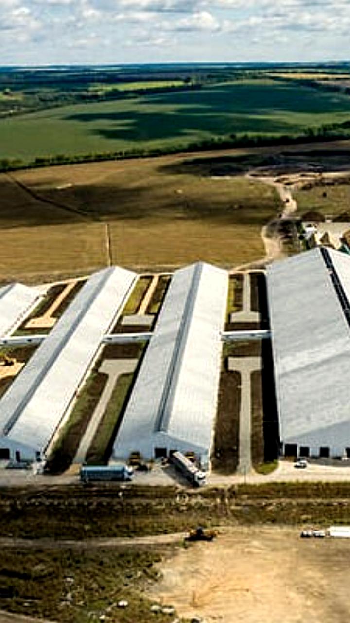 Агроэко запускает молочный комплекс в Воронежской области с инвестициями 6 млрд рублей