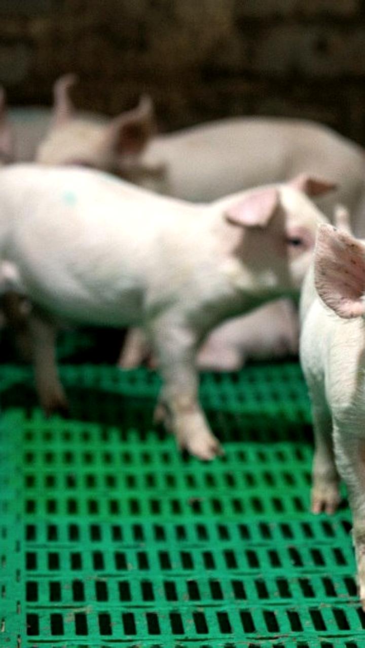 АО Кудряшовское оспаривает штраф за ущерб экологии на 2,3 млрд рублей