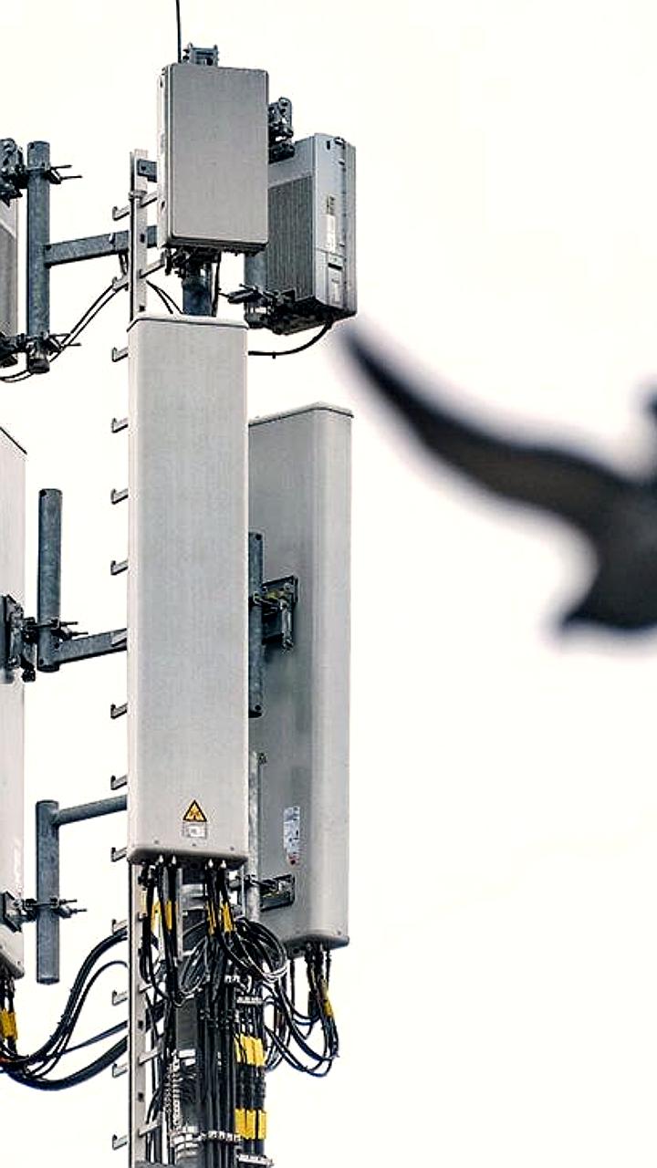 Российские производители оборудования призывают к обязательной закупке отечественного радиорелейного оборудования