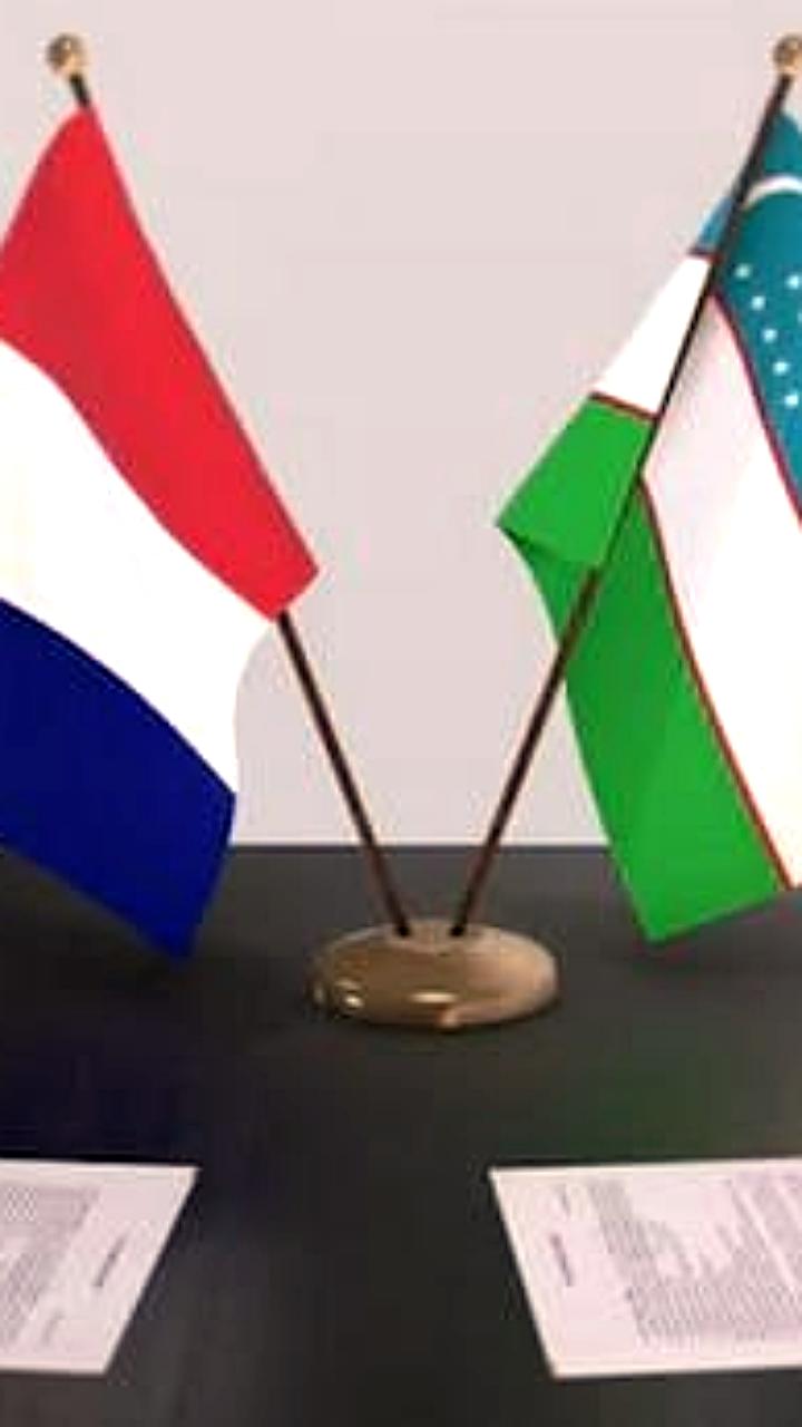 Создание Узбекско-Французского университета в Узбекистане