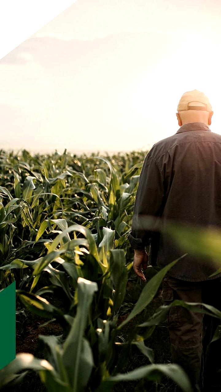 Рынок труда в российском растениеводстве: рост вакансий и зарплат в 2025 году