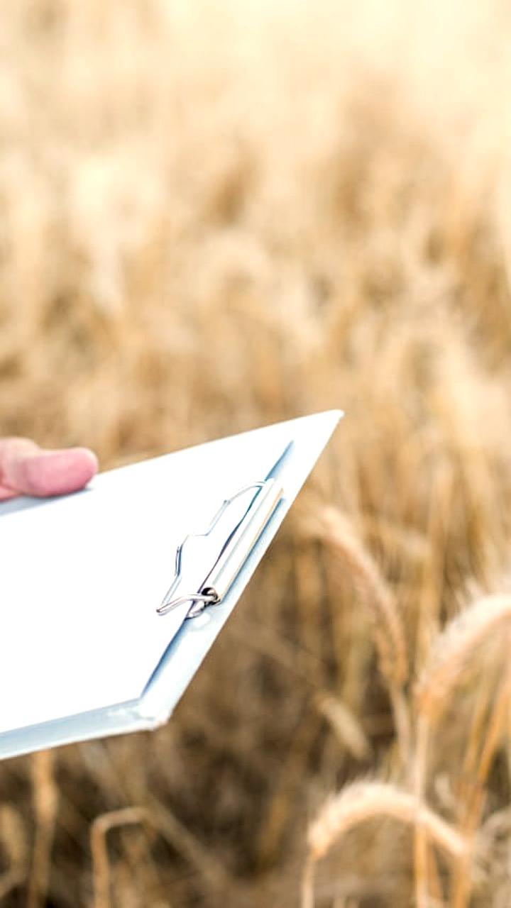 Страховые выплаты аграриям России в 2025 году превысили 6,3 млрд рублей