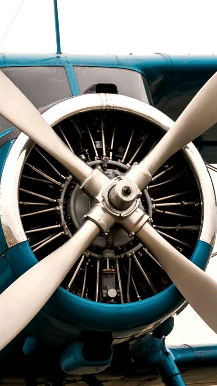 Жесткая посадка самолета в Архангельской области: начата проверка