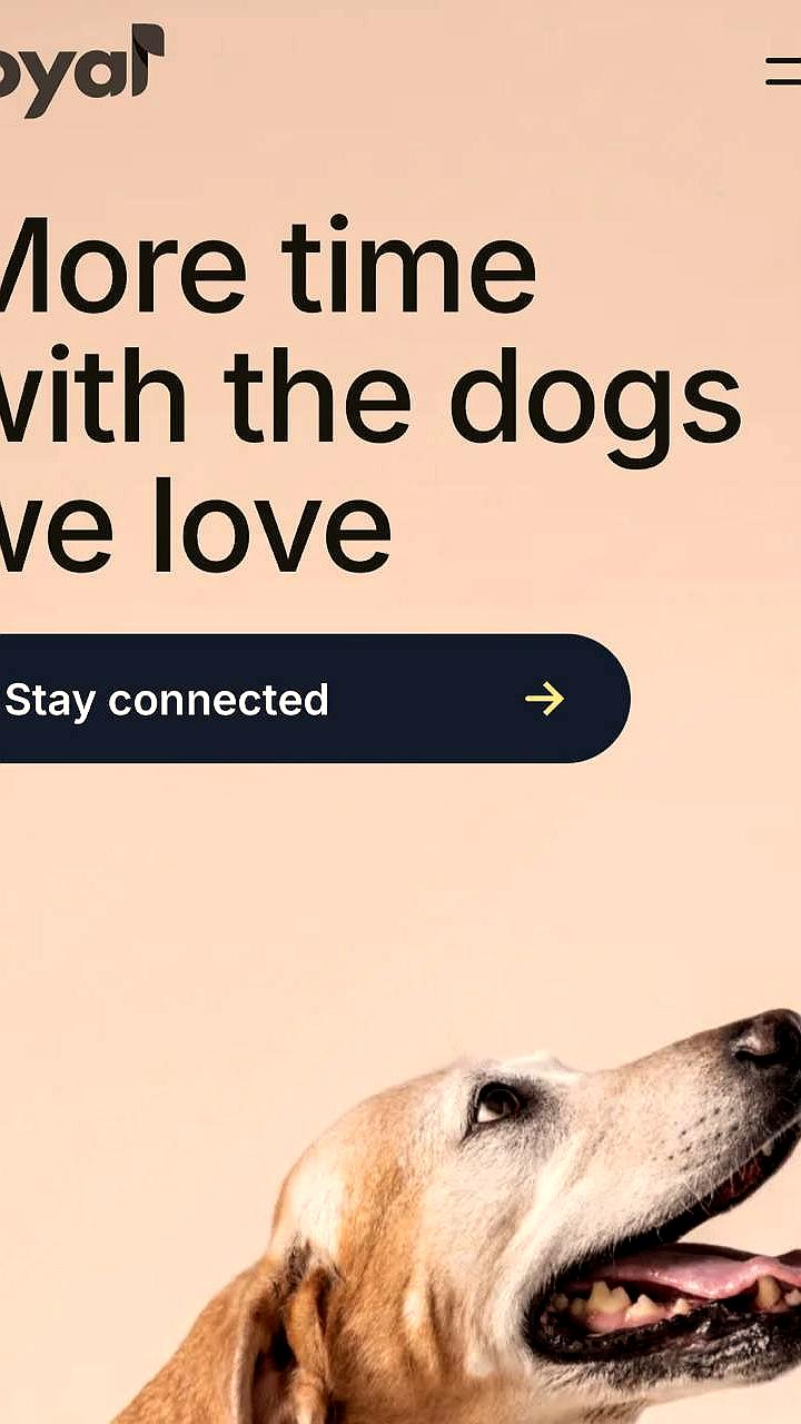 Компания Loyal разрабатывает лекарство для продления жизни собак, ожидаемое в 2026 году