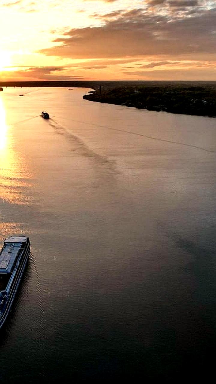 Продление запрета на вылов воблы: влияние на популяцию и промысел