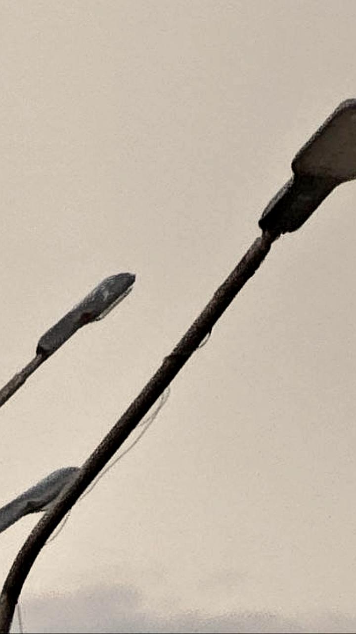 Автодорсфера Белогорска обновила освещение на 179 улицах, а ВСДРП тестирует новый мобильный световой комплекс