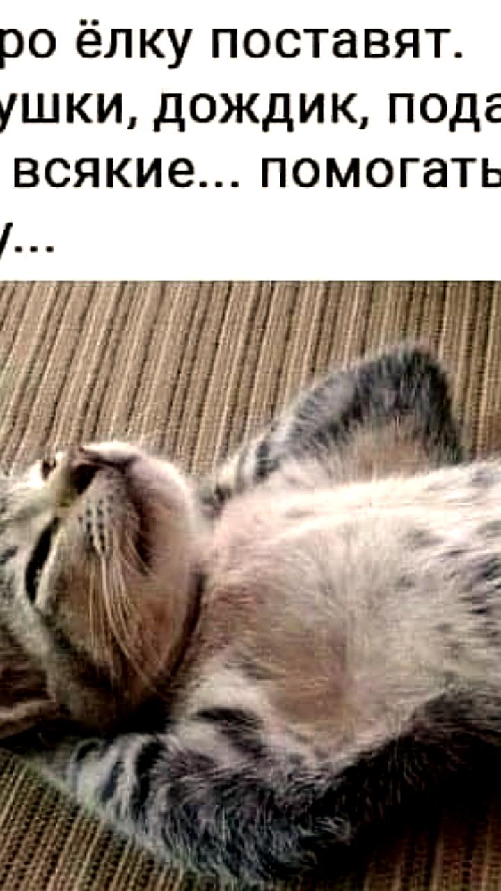 В Казани установят 37 елочных городков к Новому году