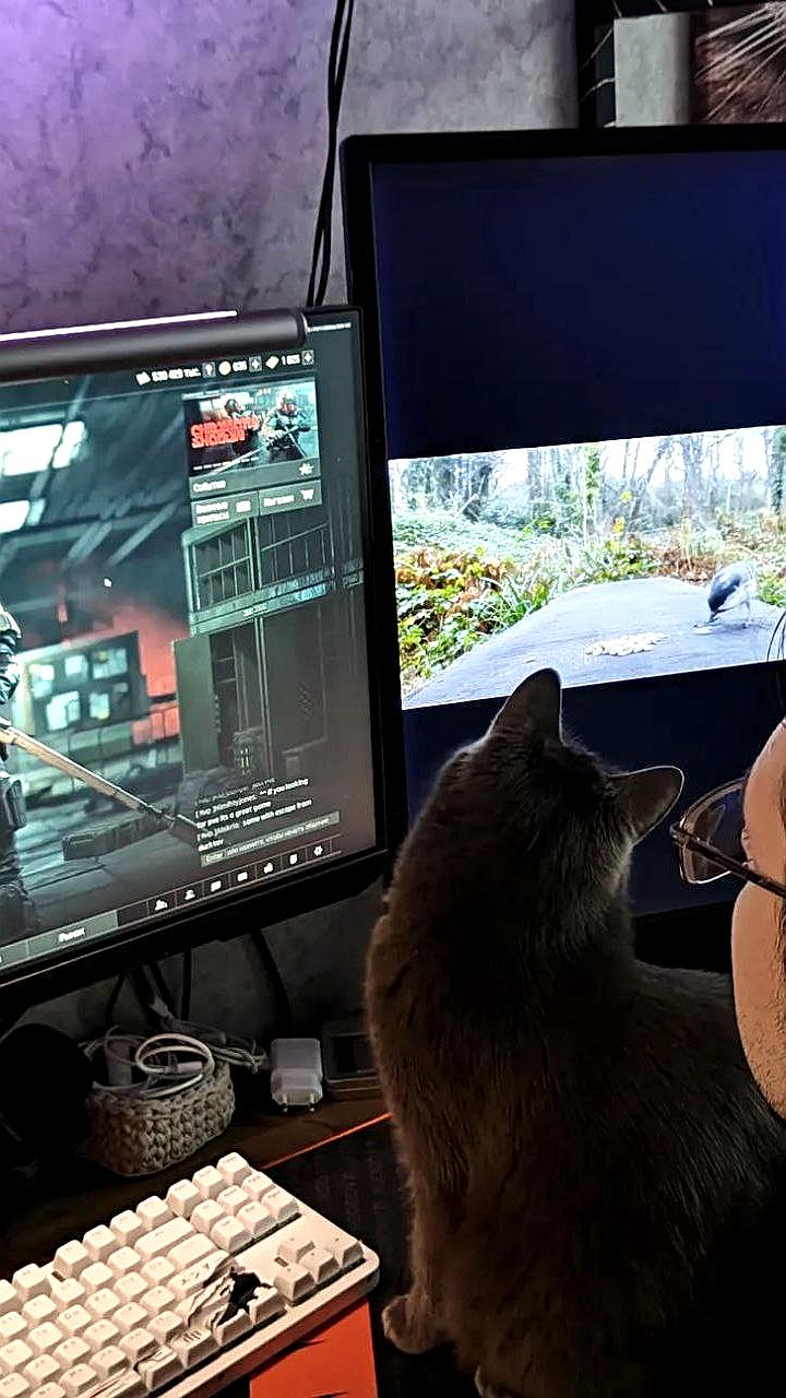 Супруги обсуждают необходимость второго монитора для работы