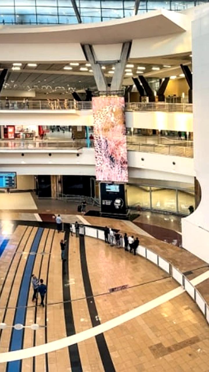 Четыре гражданина ЮАР задержаны в аэропорту Йоханнесбурга при попытке вылета в Россию для участия в войне