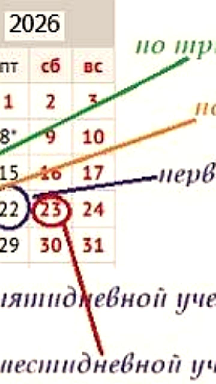 В 2026 году последний учебный день в российских школах назначен на 26 мая