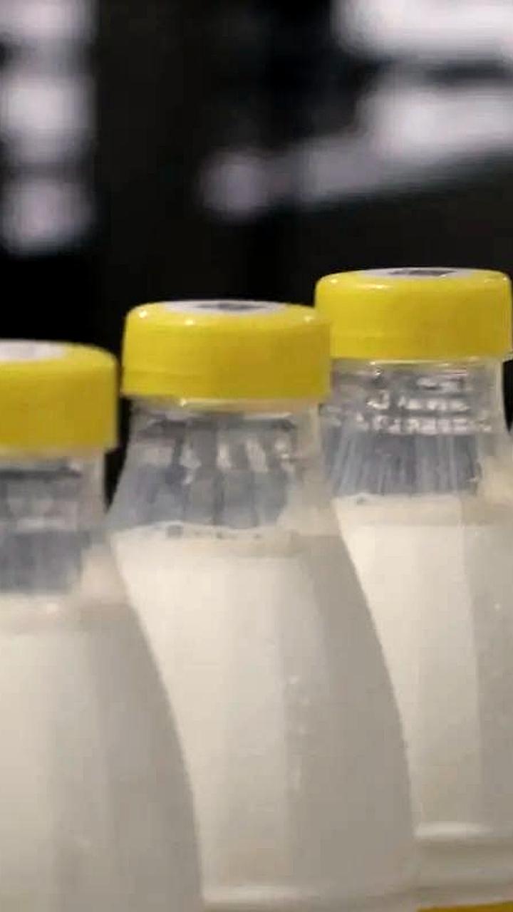 В Хабаровском крае стартует проект 'Молочная кухня' для беременных женщин