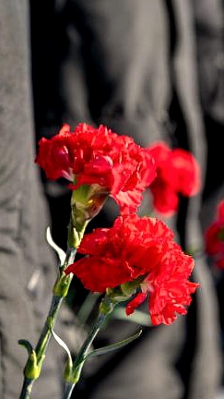 В Магадане пройдет около 100 мероприятий к Дню Неизвестного Солдата и Дню Героев Отечества