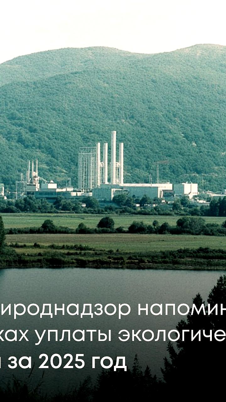 Производители товаров обязаны представить отчетность и уплатить экологический сбор до 15 апреля 2026 года