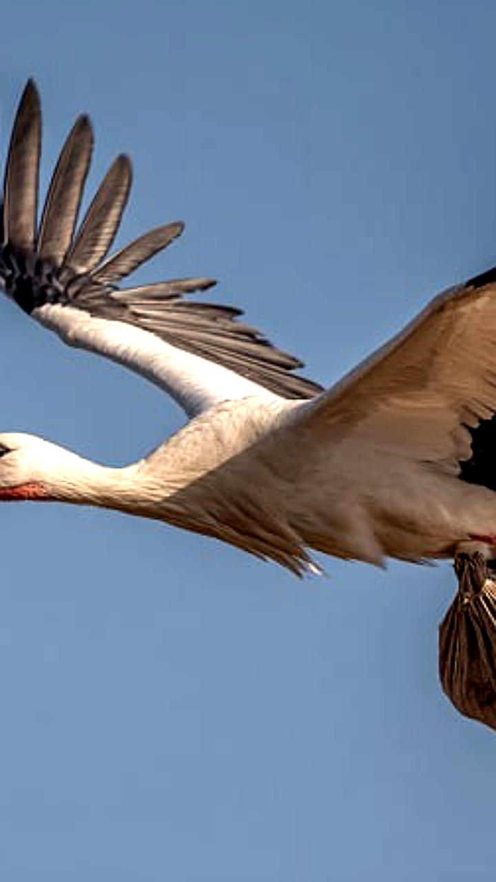 В Уфе и Омской области за ноябрь родились 1662 новорожденных