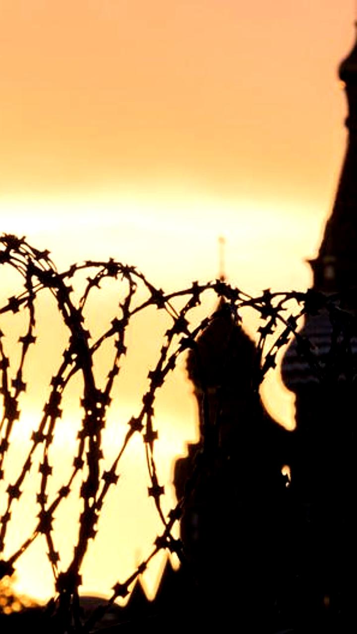 Нобелевские лауреаты призывают к освобождению политзаключённых в мирном плане по Украине