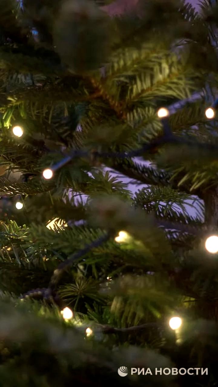 Исследование МТС AdTech: 70% россиян предпочитают искусственные елки