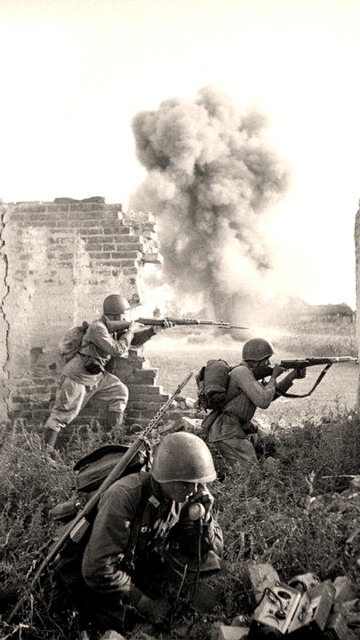 Пензенская область готовится к международной акции 'Тест по истории' о Второй мировой войне