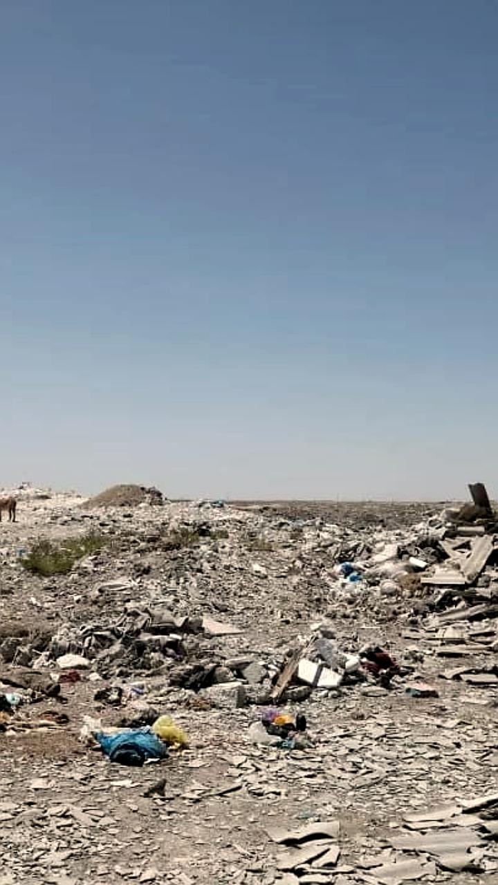 К 2030 году планируется сократить количество полигонов ТБО на 50% и создать зеленые пояса