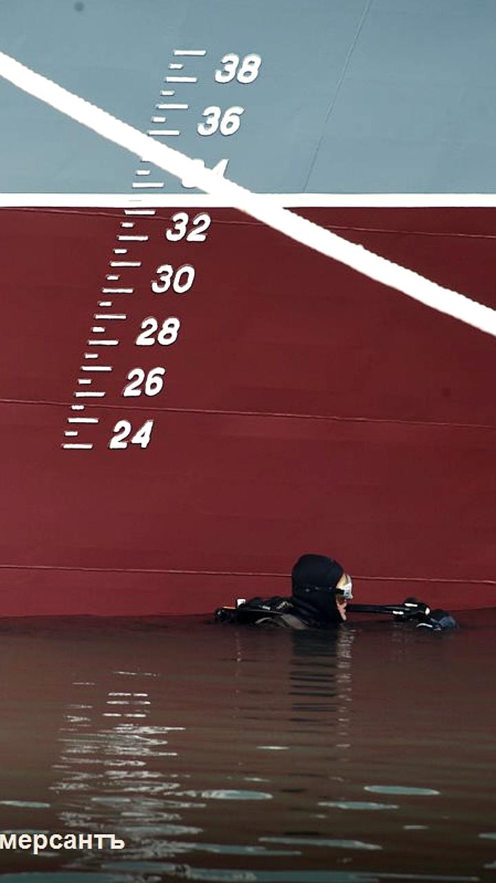 Правительство возлагает расходы на осмотр иностранных судов на операторов портов