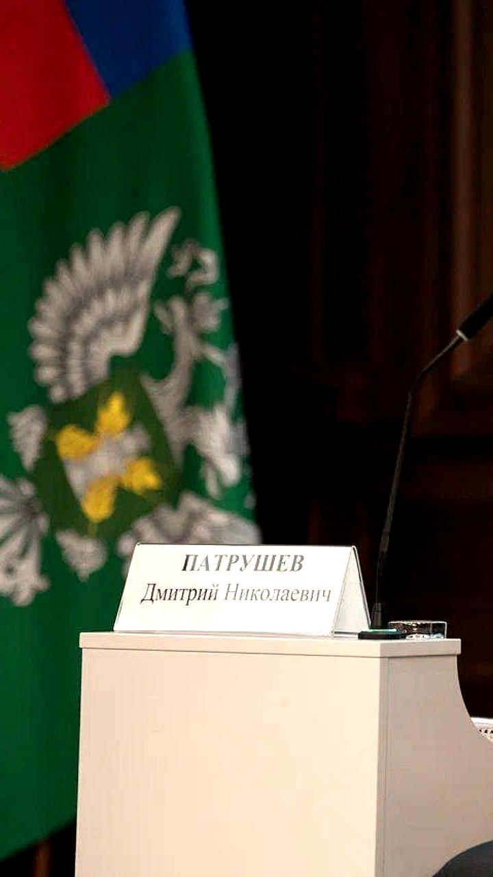 Урожай зерна в России достиг 145 миллионов тонн, ожидается рекордный сбор в 2025 году