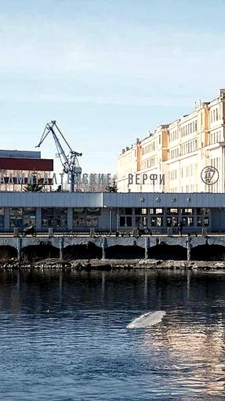 Андрей Костин анонсировал проект концертного зала на Ново Адмиралтейском острове за почти 1 миллиард долларов