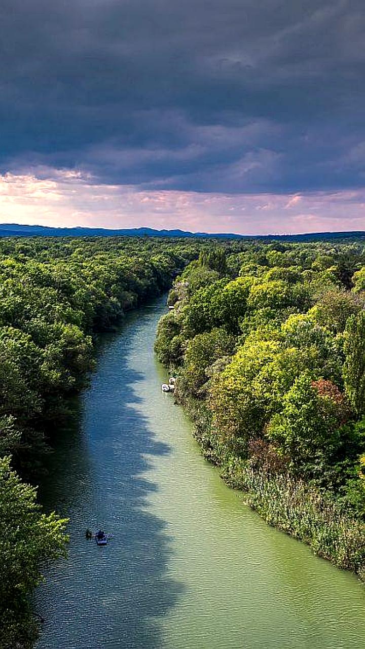Леса Африки перестали поглощать углерод и стали источником СО2 из-за вырубки