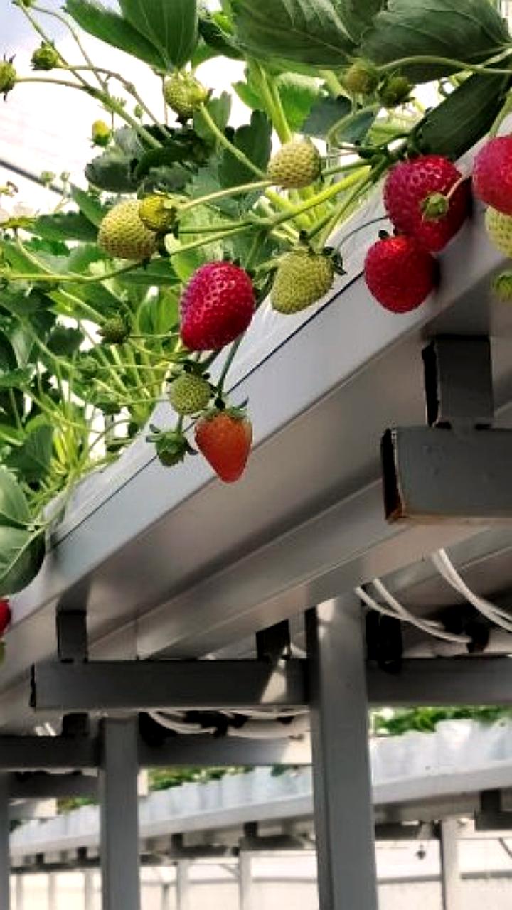 Аграрии Приморья активно готовятся к весенней посевной кампании