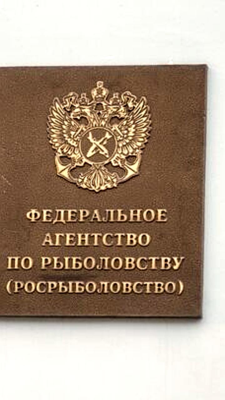 Арбитражные разбирательства по искам к рыбодобывающим компаниям продолжаются