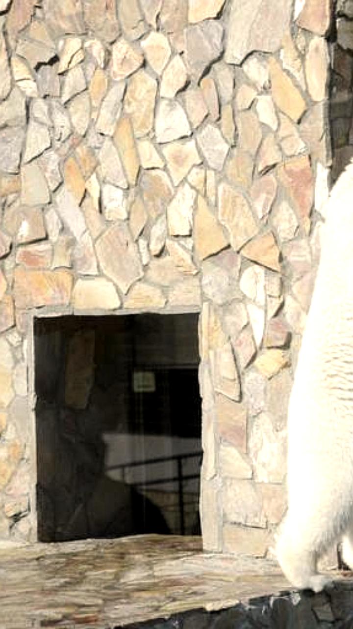 В план развития Петербурга до 2035 года включен новый зоопарк