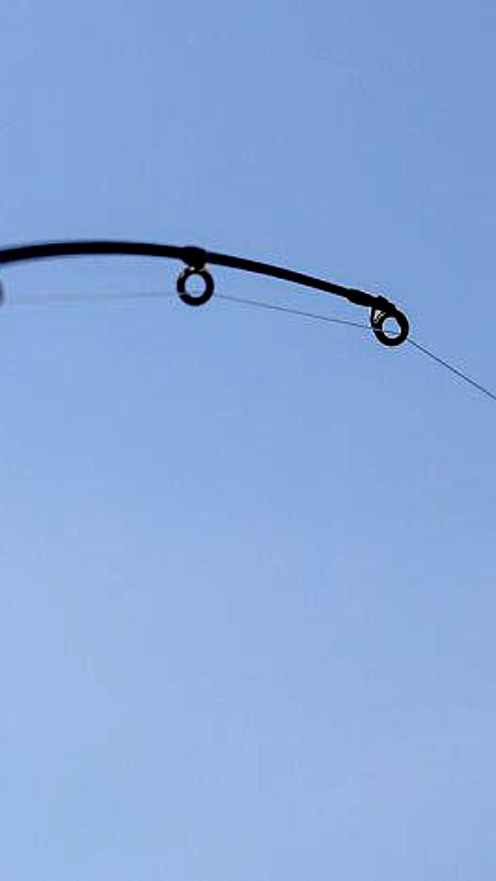 Судебные приговоры за незаконный вылов рыбы в Беларуси и России