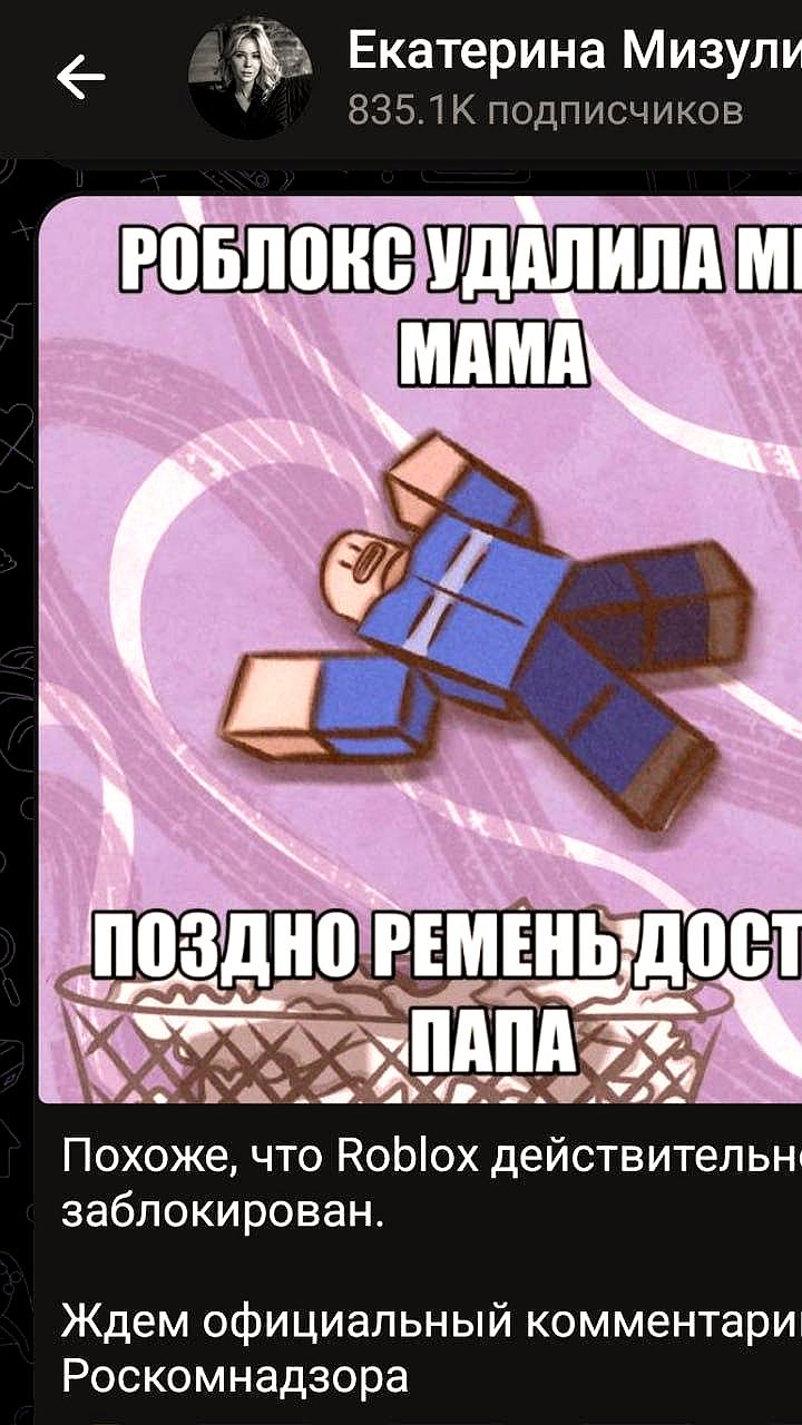 Екатерина Мизулина сообщает о фактической блокировке Roblox в России