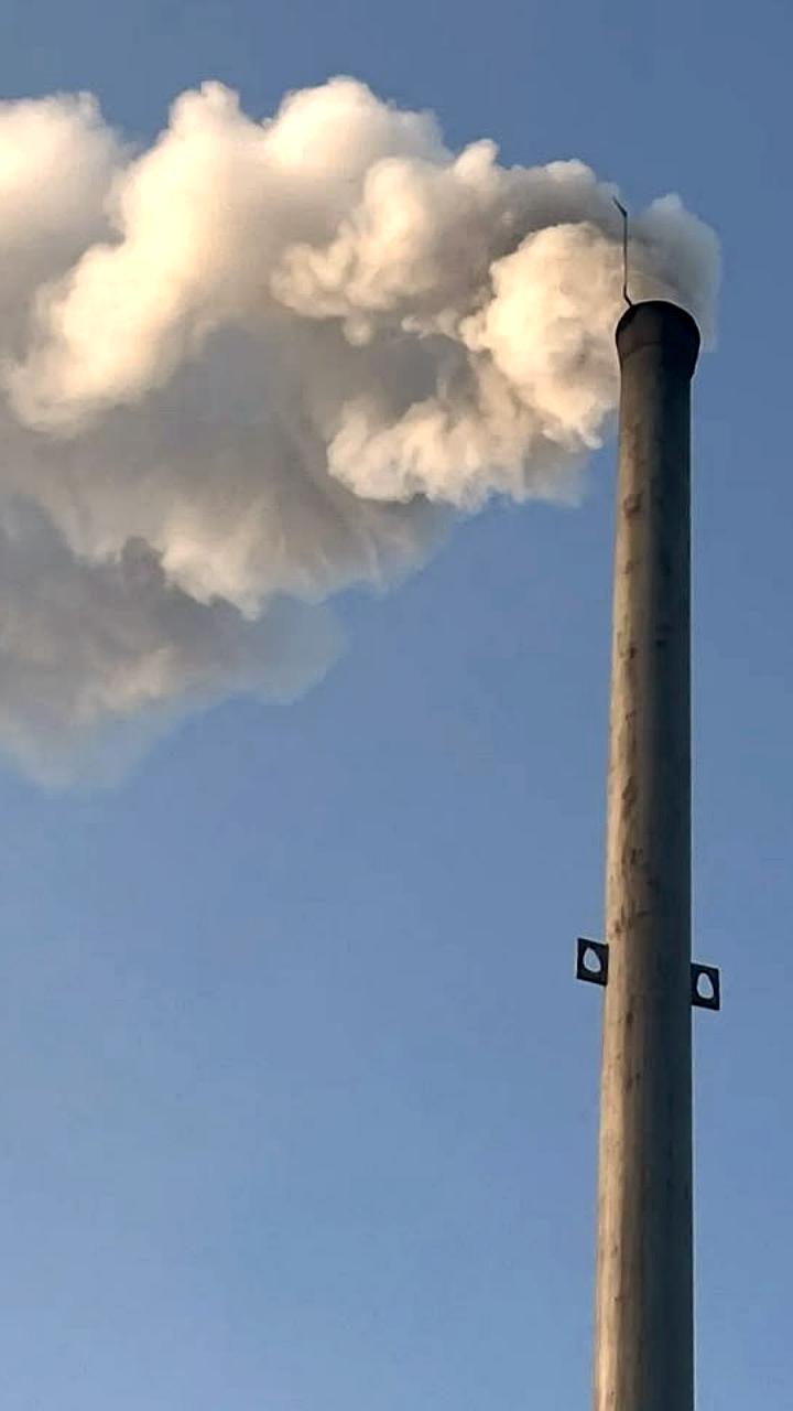 Проверка прокуратуры выявила масштабное загрязнение почвы в Красноярском крае