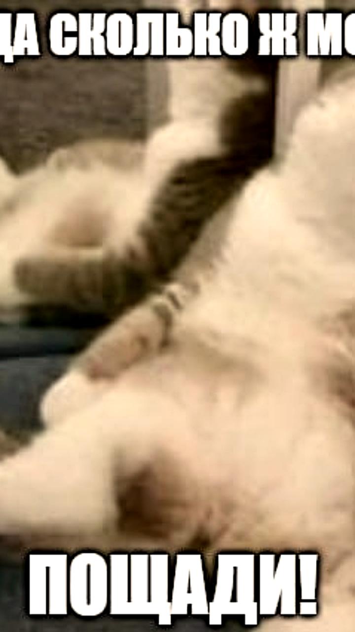 На Землю надвигается первая зимняя магнитная буря