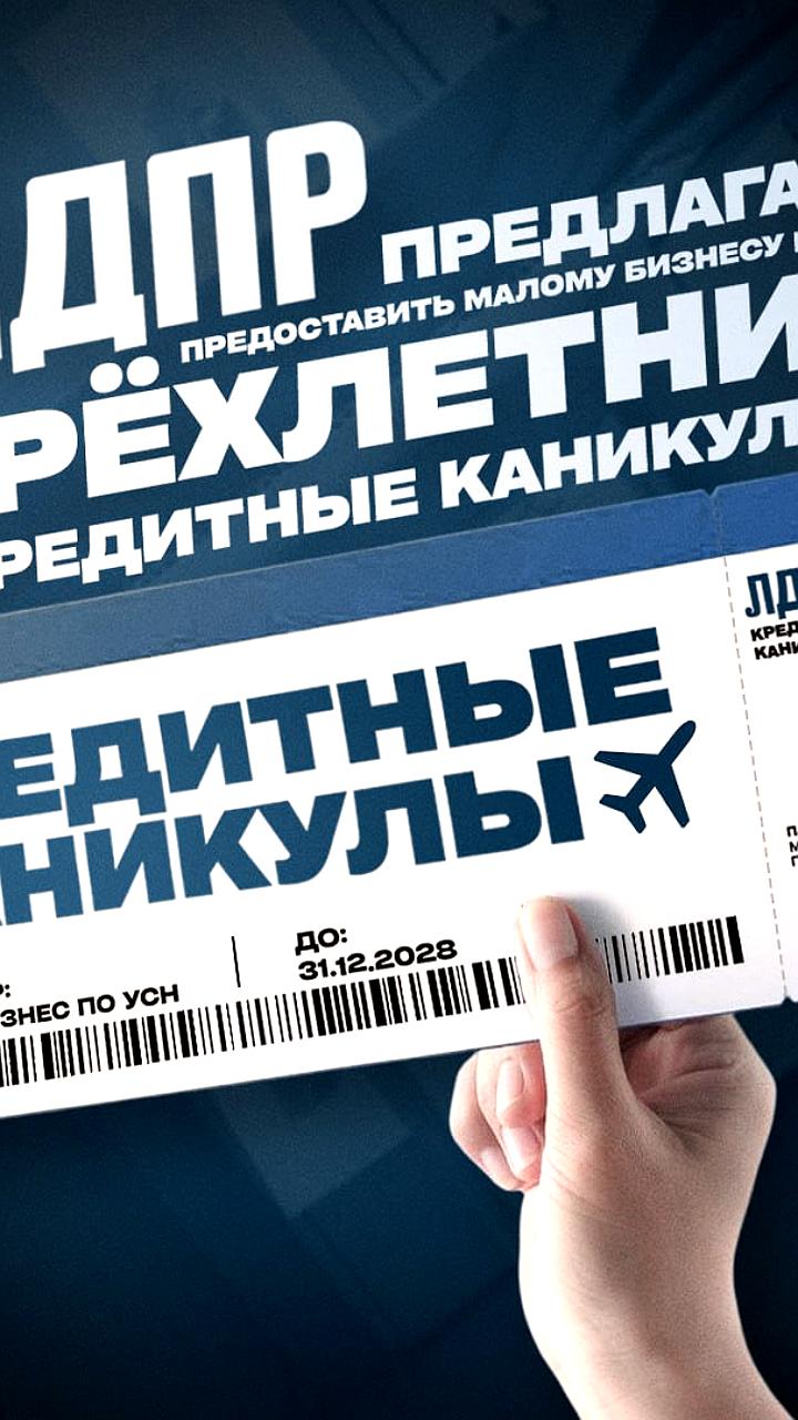 ЛДПР предлагает трехлетние кредитные каникулы для бизнеса на УСН