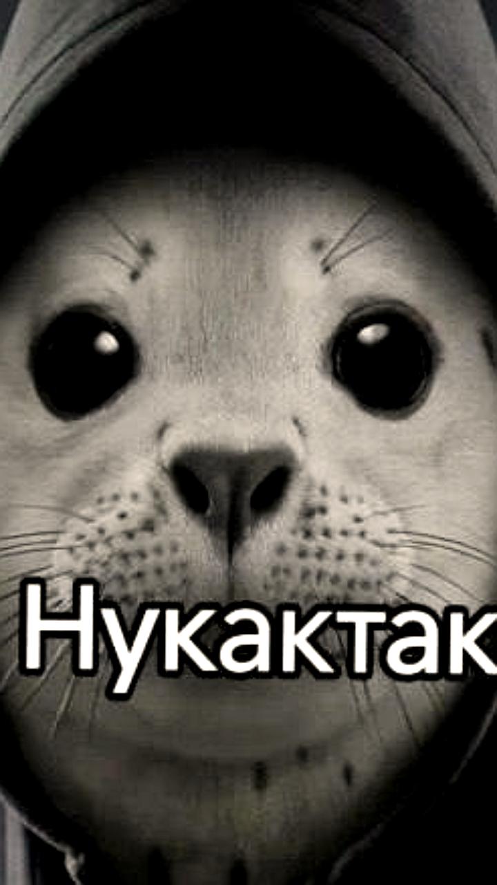 С 25 декабря изменится тариф на проезд по муниципальным маршрутам